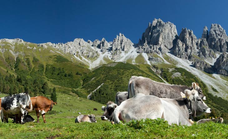 Kalkalpen - Täler im Alpengebirge von Österreich