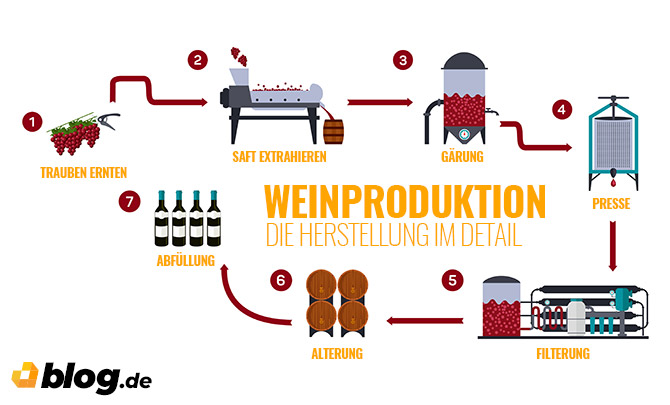 Weinproduktion - Herstellung im Detail