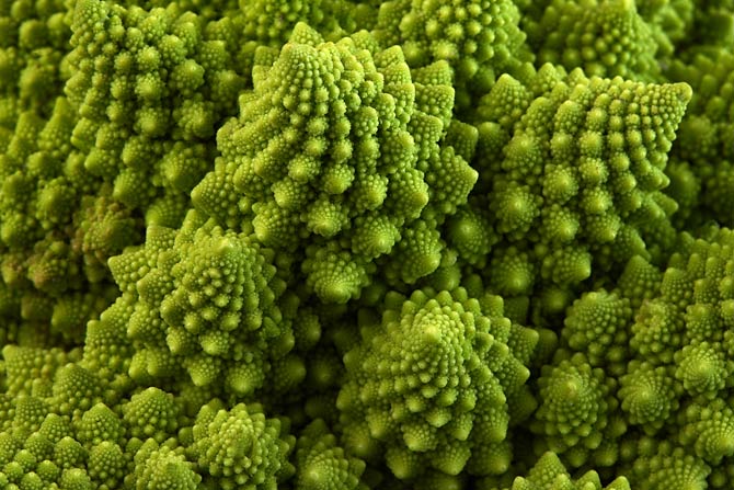 Romanesco Kohl