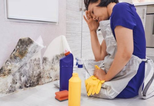 Die besten Tipps gegen Schimmel im Haus