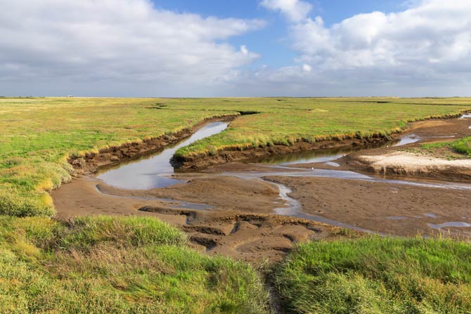 Nationalpark Schleswig-Holsteinisches Wattenmeer