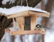 Vogelfütterung im Winter