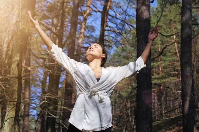 Wissenswertes zum Waldbaden