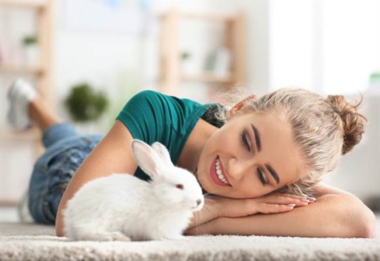 Welches Haustier passt zu mir?