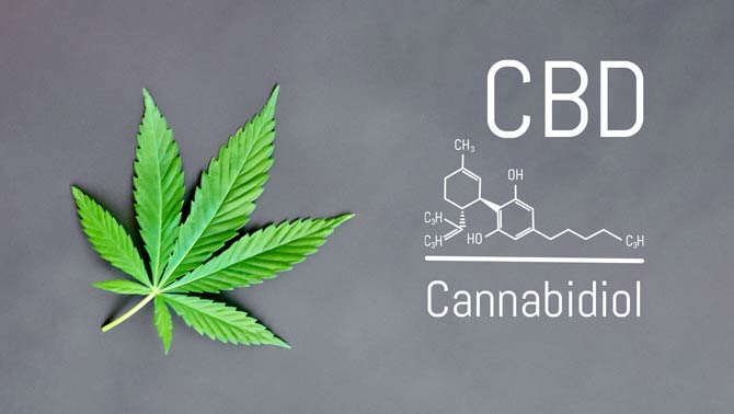 Wirkweise Cannabidiol