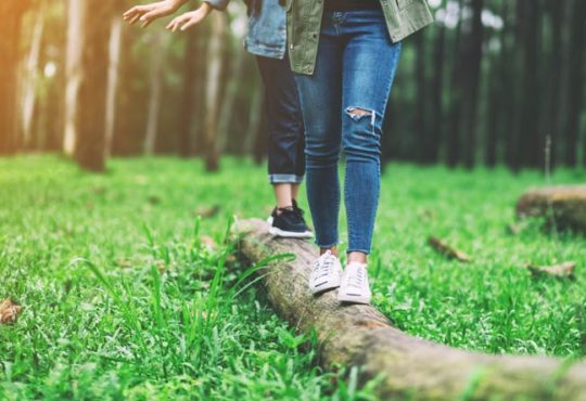 Experten warnen vor hohem Zeckenbefall