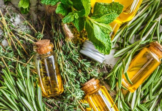 Ätherische Öle gegen Schädlinge