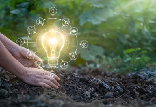 Nachhaltigkeitswissenschaft