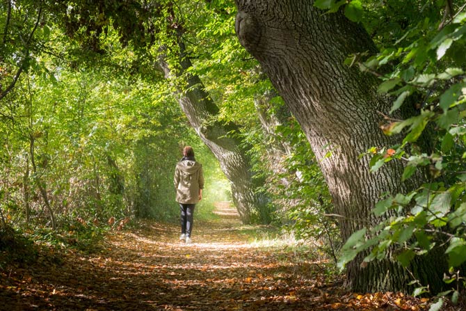 Positive Effekte der Natur