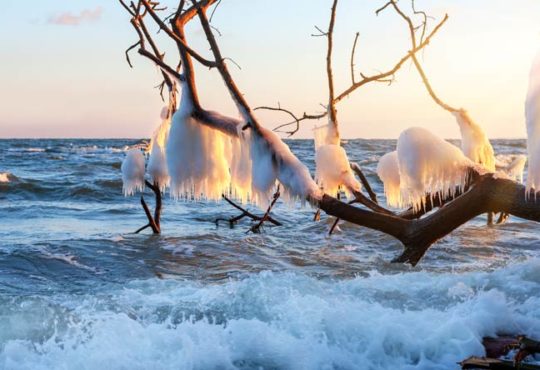 Winter auf dem Darß