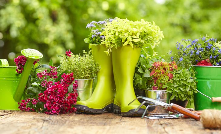 Erste Gartenarbeit im Jahr