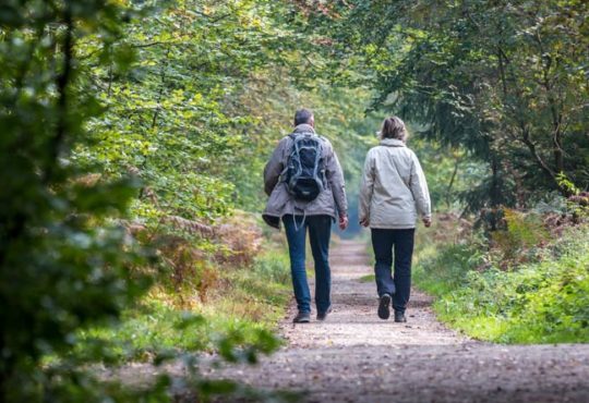 Spaziergang als Fitnesstraining