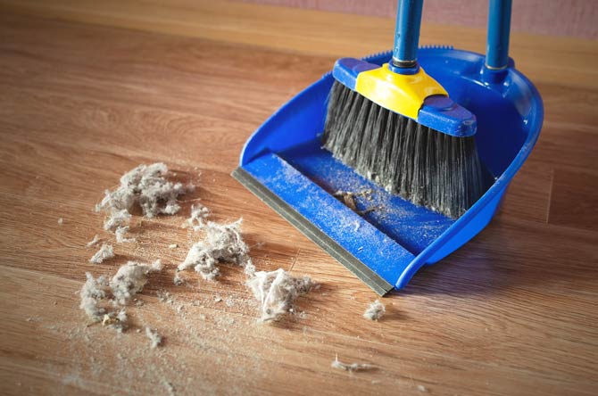 Staub ist ein lästiges Übel