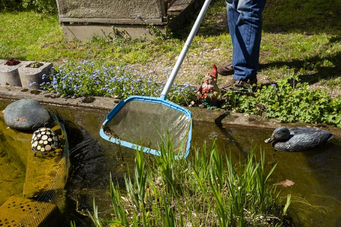 Pflege des Gartenteichs
