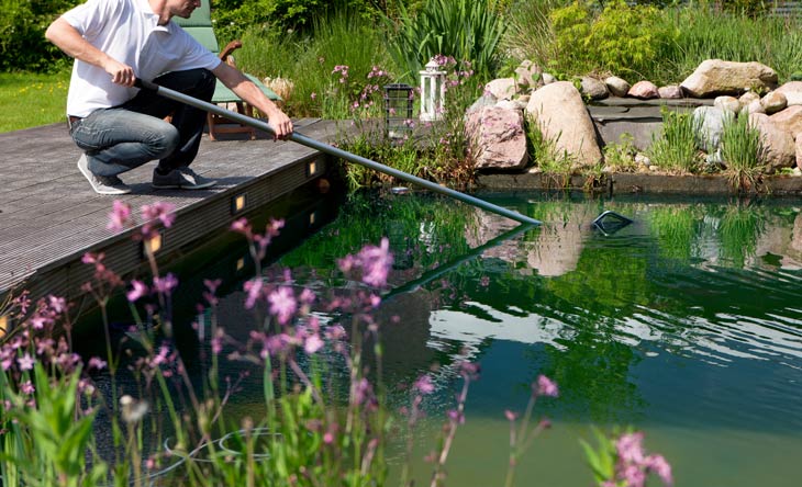 Tipps für die Reinigung des Gartenteichs