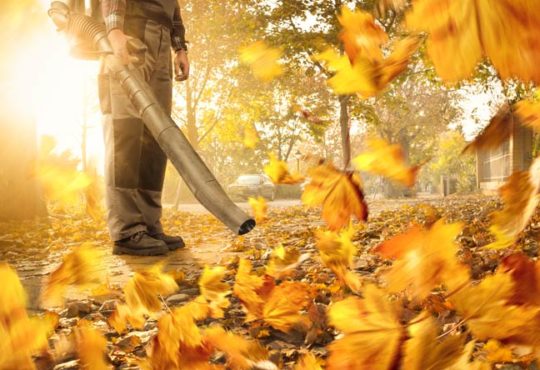 Laub auf öffentlichen Wegen