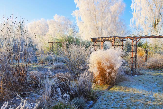 Garten im Januar