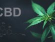 Worum handelt es sich bei CBD?