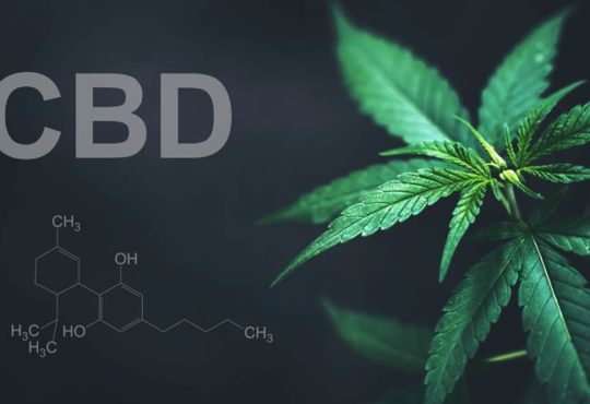 Worum handelt es sich bei CBD?