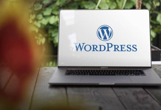 WordPress-Blogs: Wichtige Eigenschaften eines guten Hosting-Anbieters