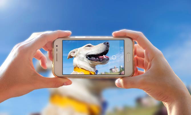 Fotografieren voll im Trend