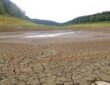 Forscher bestätigen Ende der Dürre