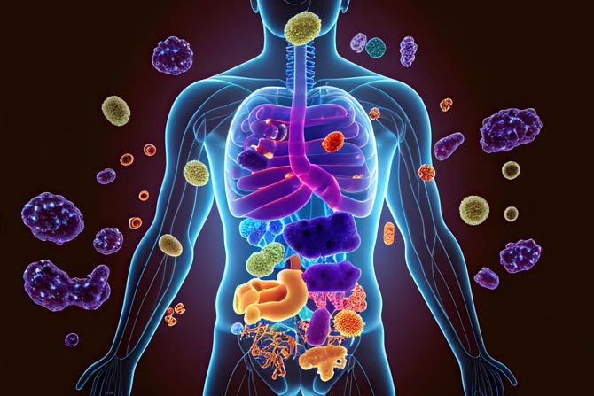 Krebs als Herausforderung für das Immunsystem