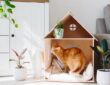 Katzengerechtes Zuhause