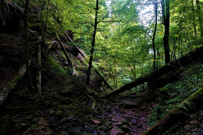 Wolfsschlucht im Odenwald