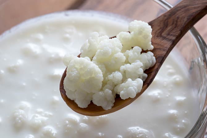 Kefir entsteht durch den Fermentationsprozess