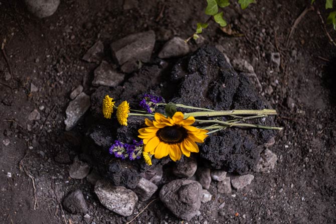Bestattung von Kleintieren fast überall erlaubt