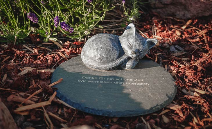 Haustier im Garten begraben