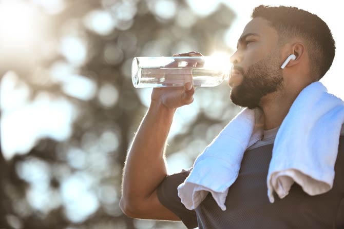 Wasser ist das Transportmittel für Nährstoffe