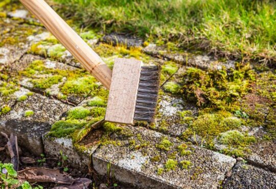 Grünbelag im Außenbereich entfernen