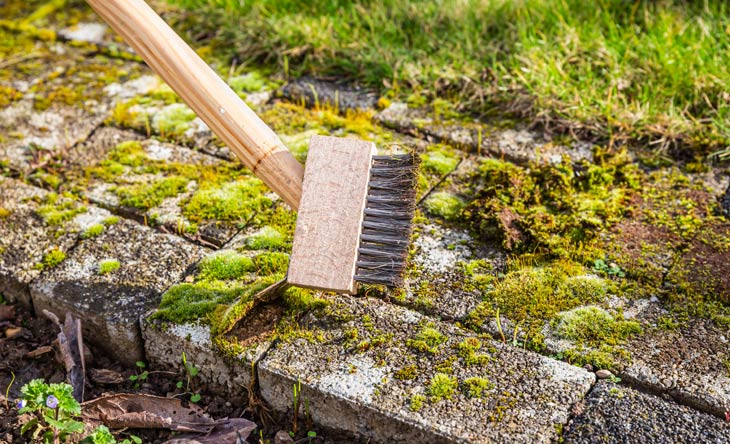 Grünbelag im Außenbereich entfernen