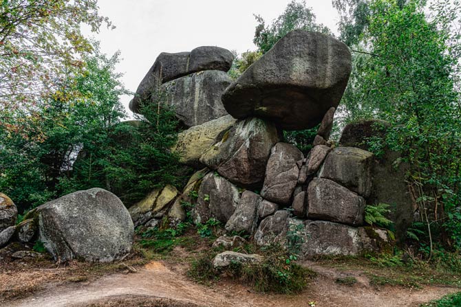 Mausefalle Harz