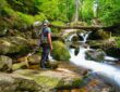 Wanderwege im Harz
